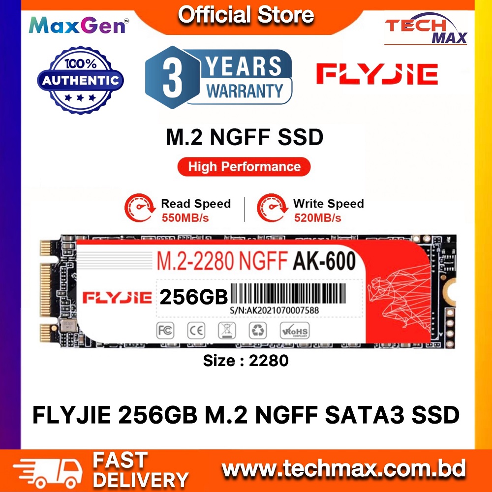 FLYJIE M.2 SATA 256GB SSD AK-600 NGFF SSD (2280) For Laptops & Desktop-PC